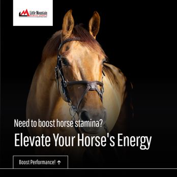 LMRS campaign ad creative